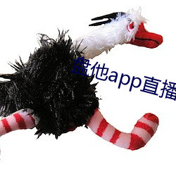 盘他app直(zhí)播