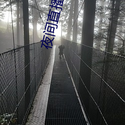 夜間直播軟件下載