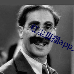 红尘(塵)直播(播)app入口