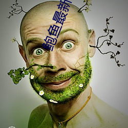 鲍鱼(魚)最(最)新(新)区域2021