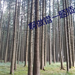啊做(做)错一题(題)插一支笔