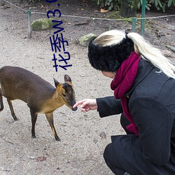 花季w3.072