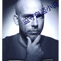 监守自盗小说