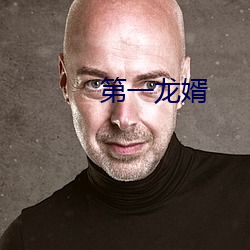 第一龍婿