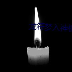 龙符梦入神机