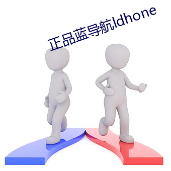 正品蓝(藍)导(導)航(航)ldhone