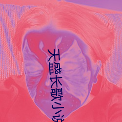 天盛长歌小说