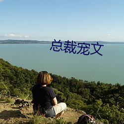 总(總)裁宠文(文)