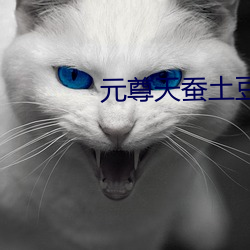 元尊天蠶土豆