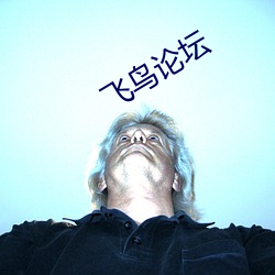 飞鸟论坛(壇)