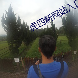 虎四新网站入口
