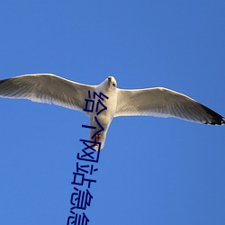 给个网站急急急2021 （热爱）