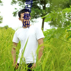 至尊武皇 （亏心
