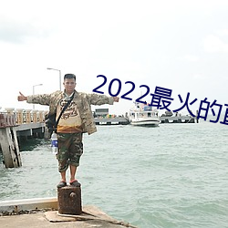 2022最火的直播app