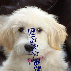 國內永久免費crm系統