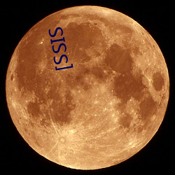 [SSIS