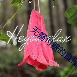 无需付费的直播软件