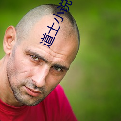 道士(士)小说