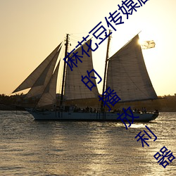 麻花豆傳媒劇國産mv在線:一款占用體積超小的播放利器