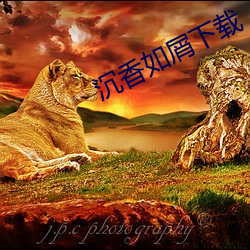 918博天堂·(中国)手机版客户端