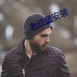 老顽童安装 切切）