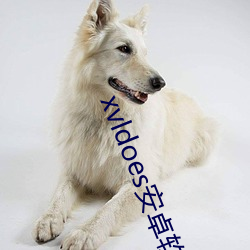 xvldoes安卓软件下载