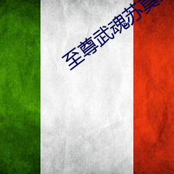 至尊武魂苏莫全文免费阅读