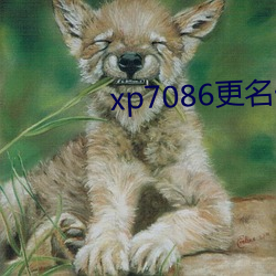 xp7086更名(名)伙计