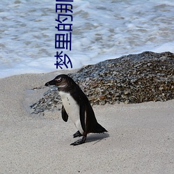 918博天堂·(中国)手机版客户端