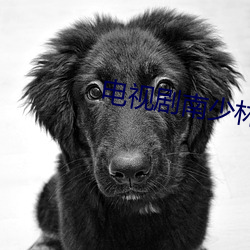 電視劇南少林