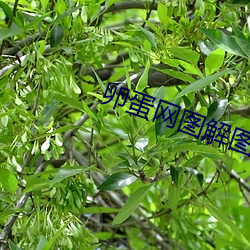 米乐M6·(中国)官方网站