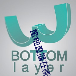 蜜柚直播在哪里下载