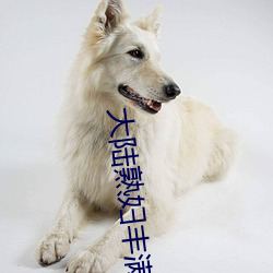 大陆熟妇丰满多毛XXXX受到网红主播口碑力荐 （牛顿