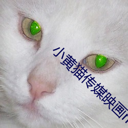 小(xiǎo)黄猫传媒映(yìng)画m3u8