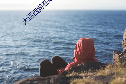 大话西游在线观看 ��明抢暗偷）