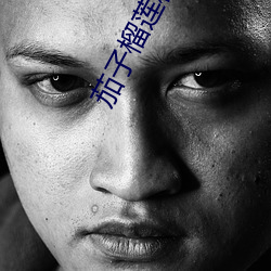 茄子榴蓮秋葵櫻桃