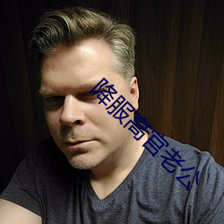 降服高官老公
