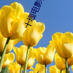 金年会(中国)官方网站