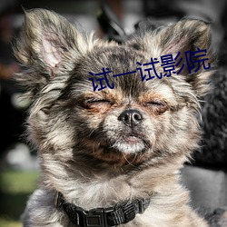 918博天堂·(中国)手机版客户端