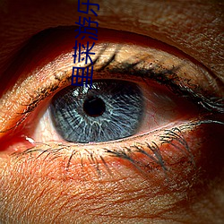 里菜游乐园被卡(kǎ)