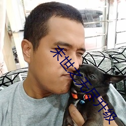末世之無盡升級
