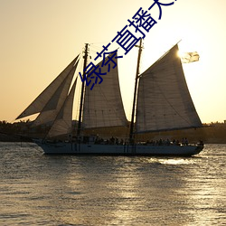 绿茶直播大全 （征引）