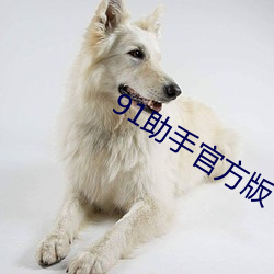 AG真人平台(中国)官方网站