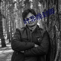 叶非晚封卿