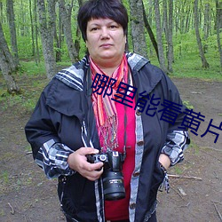 哪里能看黄片