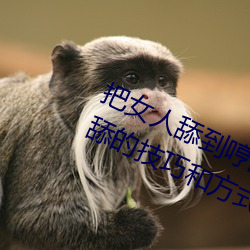 把女人舔到哼的(de)技(jì)巧(qiǎo)有哪些(xiē) 分享三个舔的技巧和方式
