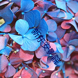 新(新)东安影(影)院
