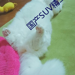 国产SUV精二区