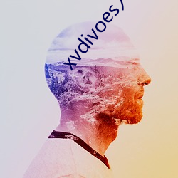 xvdivoes入口