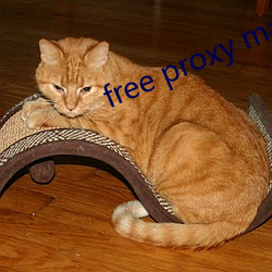 free proxy master